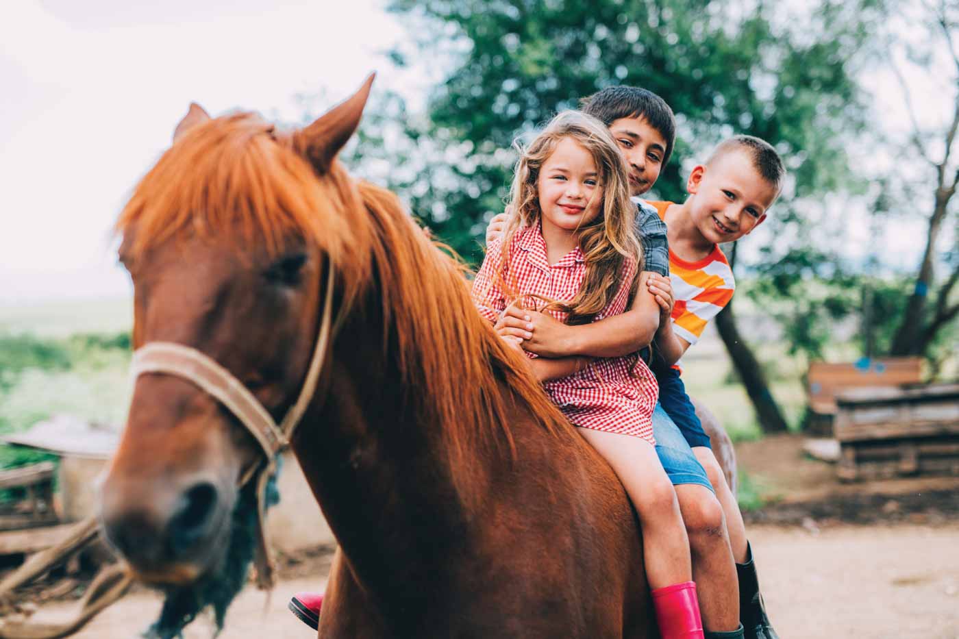 Children Riding A Horse