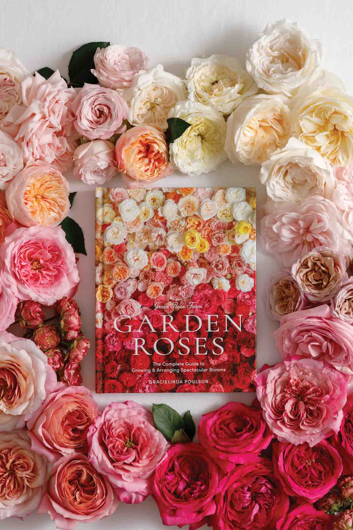 22 Amongst The Roses, The Garden Roses Book