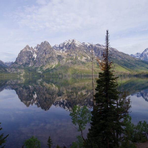 76 Snow Capped Tetons