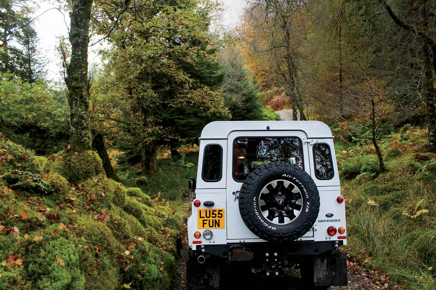 Sr2025 03 107 4x4 Adventures Land Rover Defender Adventure In The Mulea Forest. Photography By Sydney Lapin