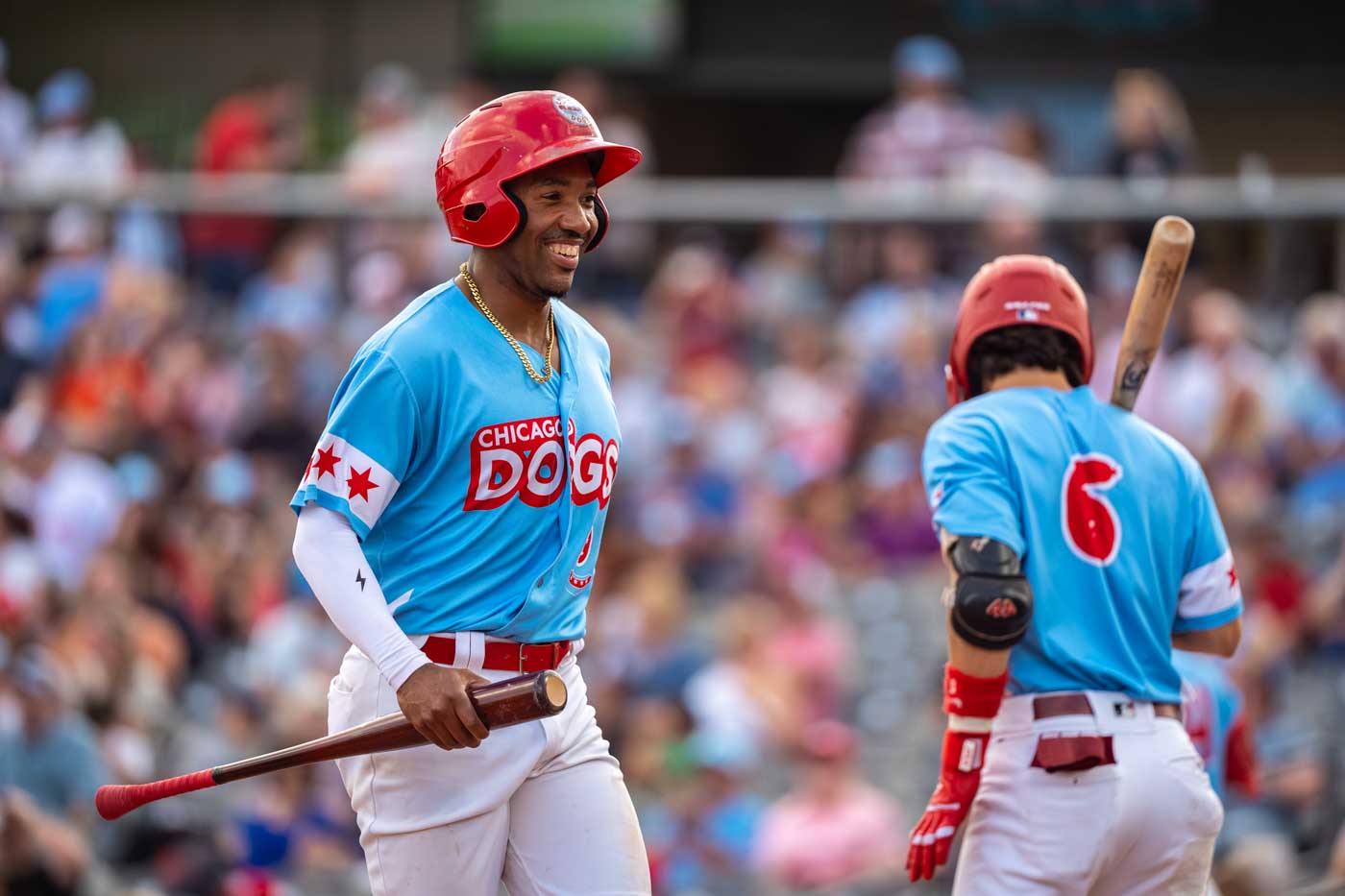 23 Chicago Dogs Players. Photography By Matt Zuro