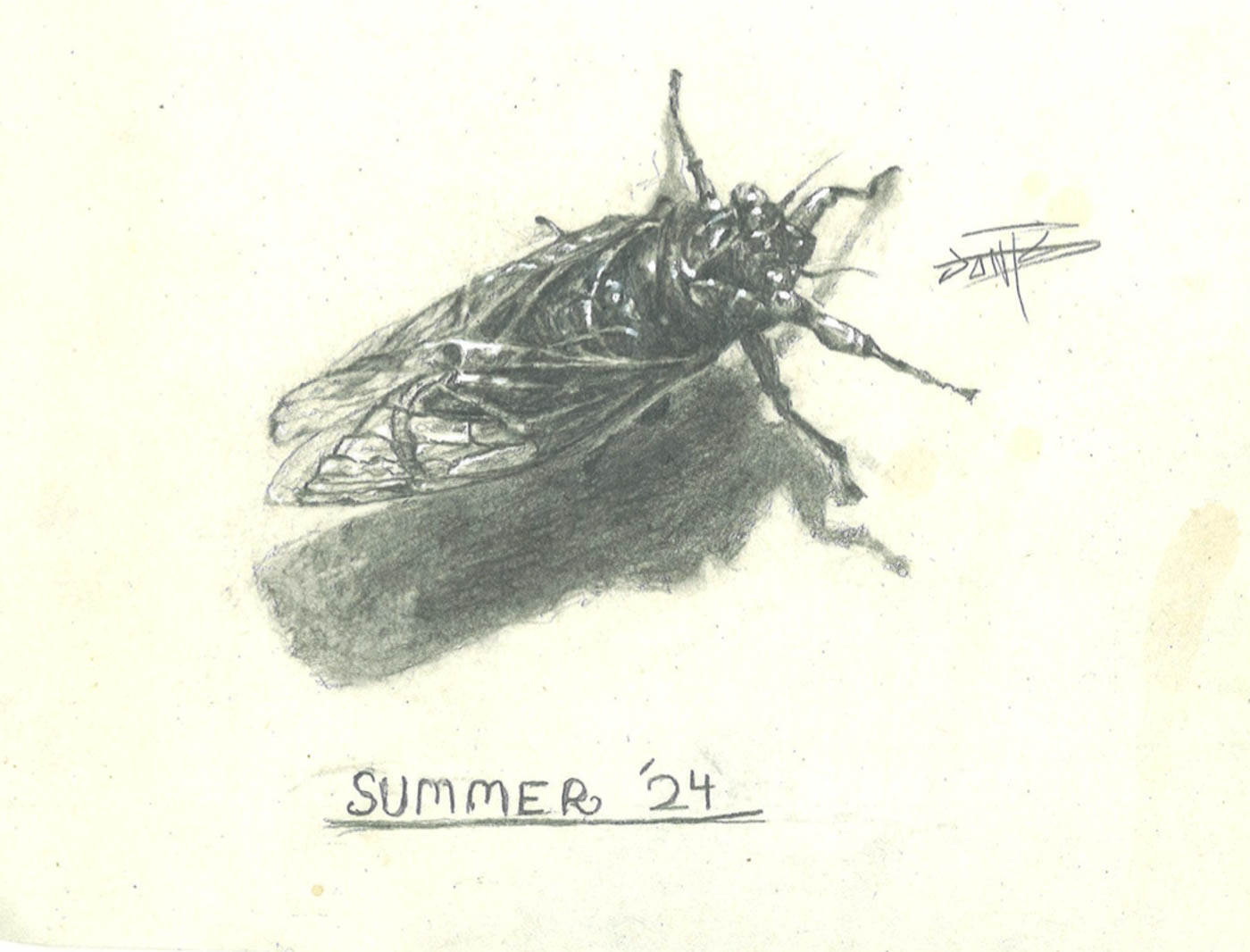 60 Cicada