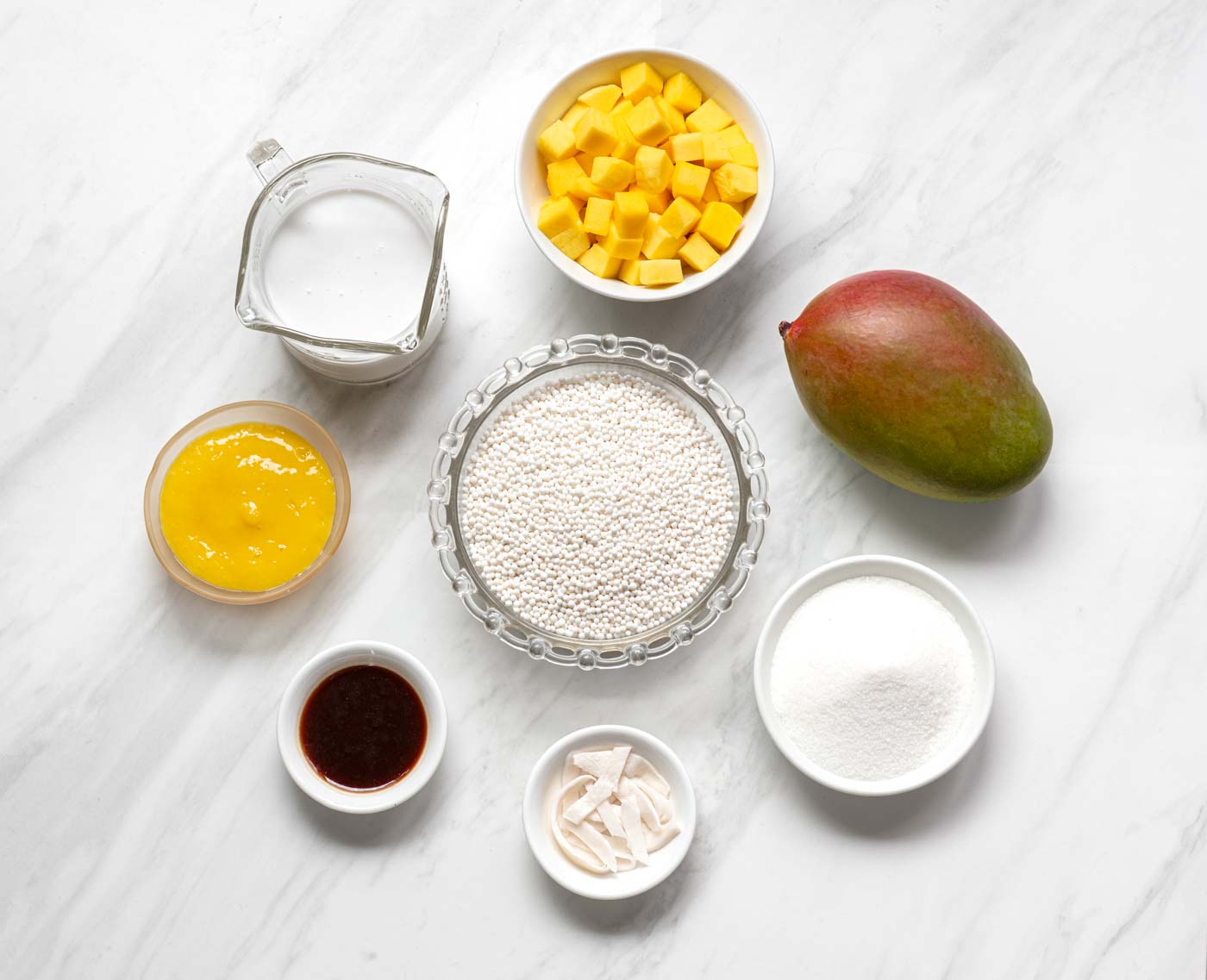37 Coconutmangotapiocapudding Ingredients 11x14inches300dpi B2 5091 Copy