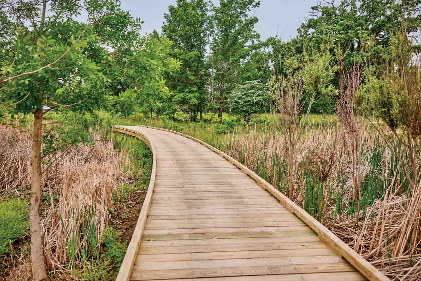74 Entry Boardwalk