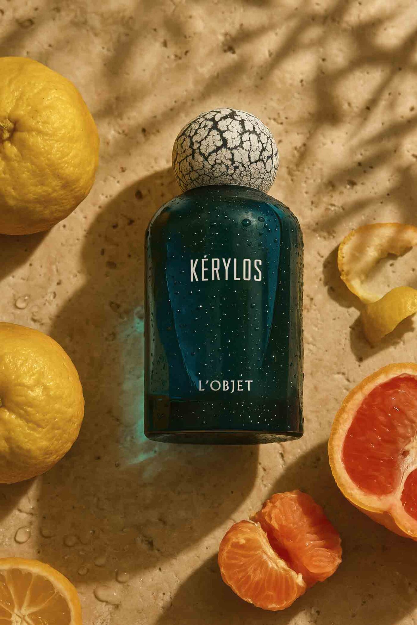 38 Kerylos2025 Ap7305 08