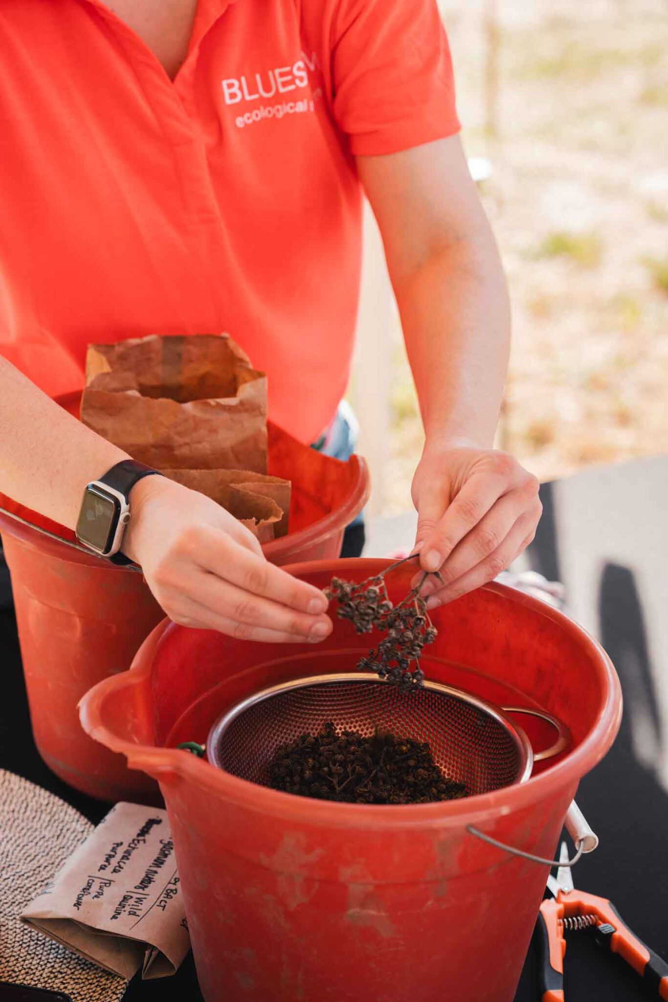 33 Bact Oaktoberfest 2025p144