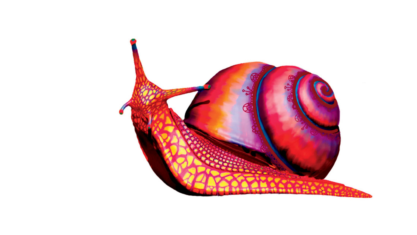 36 Brittle Button Snail By Heather Begaetz And Fez Begaetz