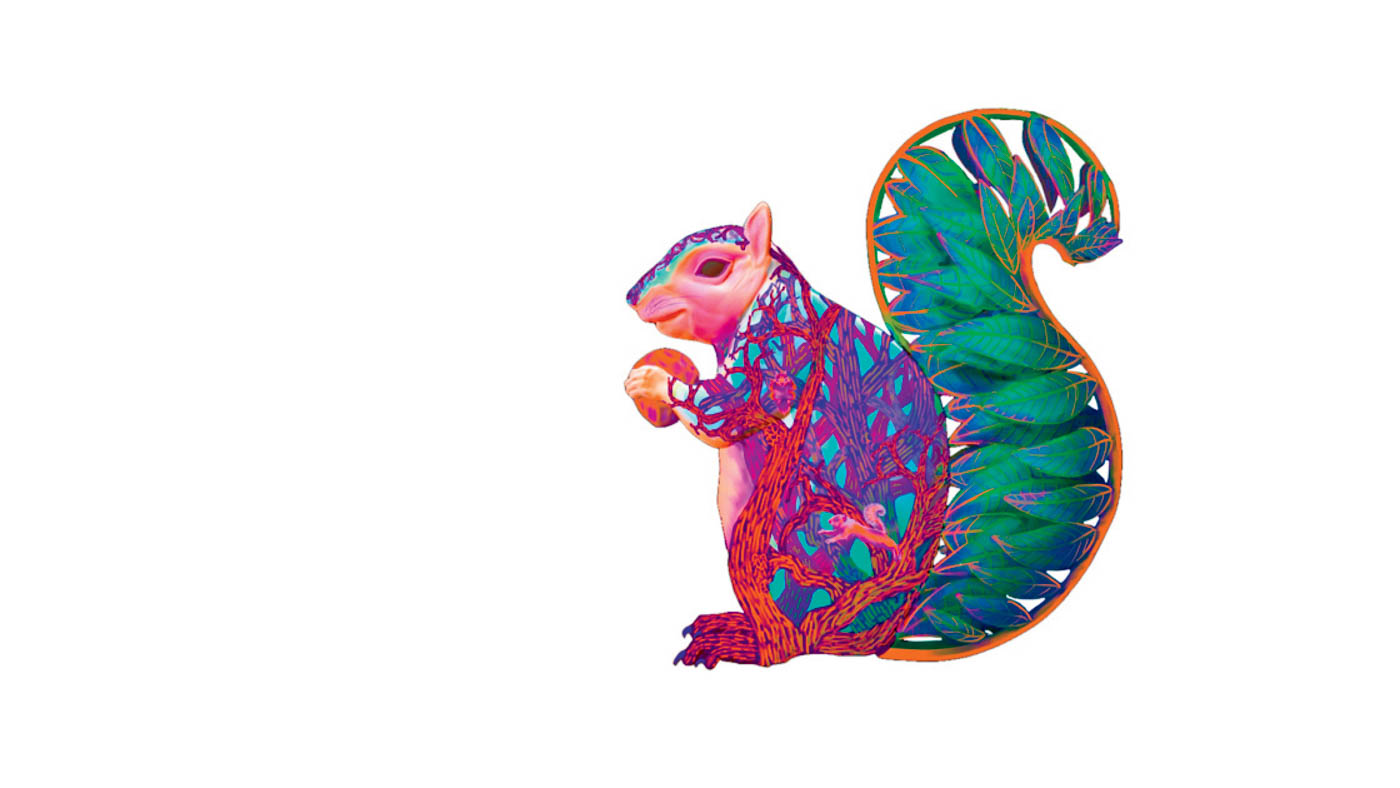 36 Fox Squirrel By Heather Begaetz And Fez Begaetz