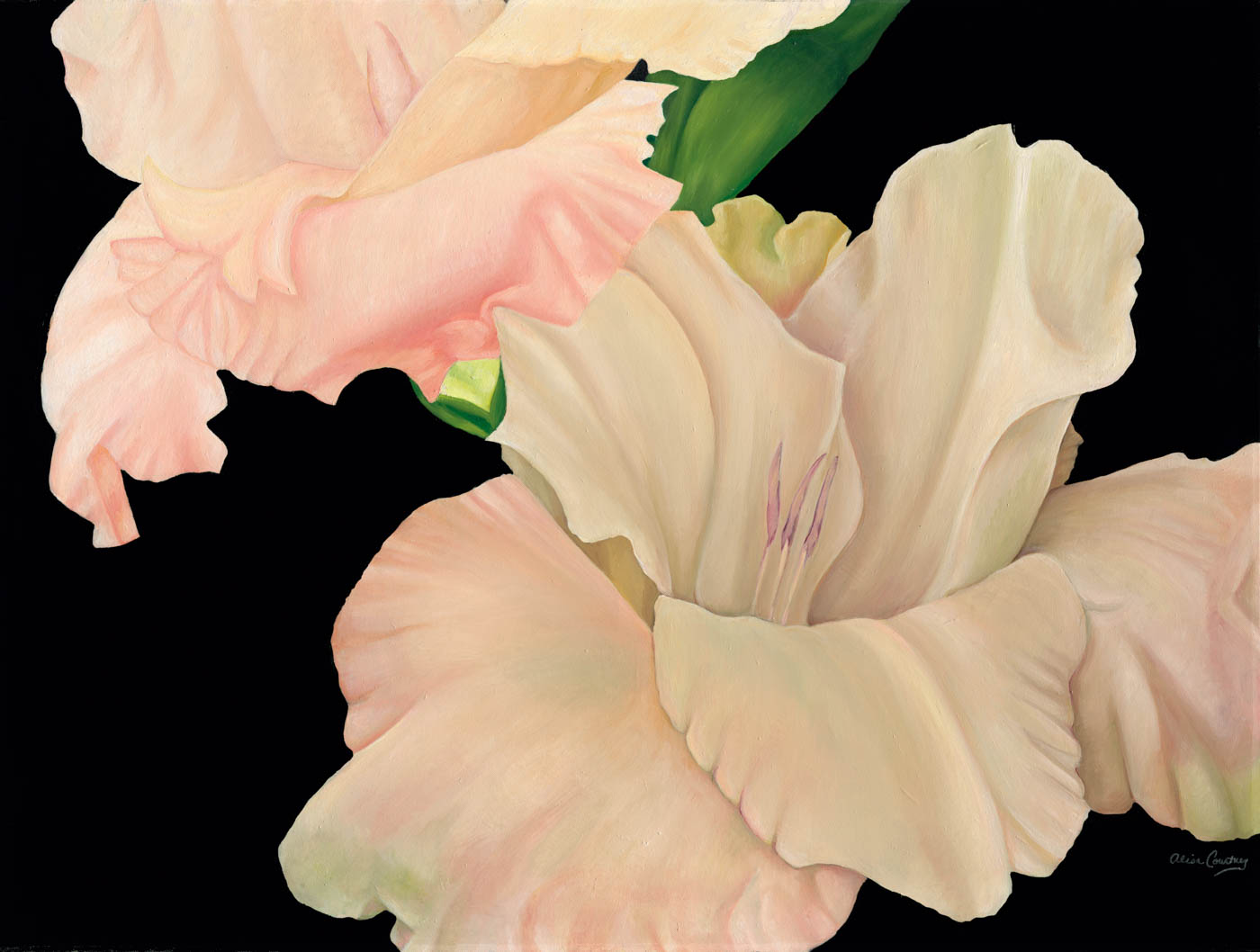 Exported From Metis Light Inspecto