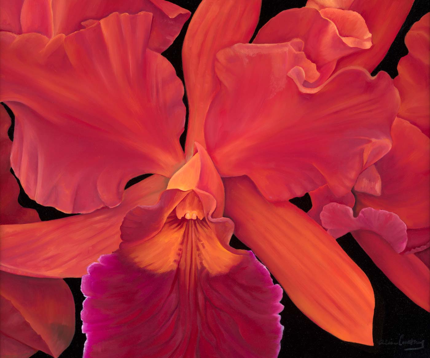 50 Red Orchid, 20 X 24, Oil On Canvas