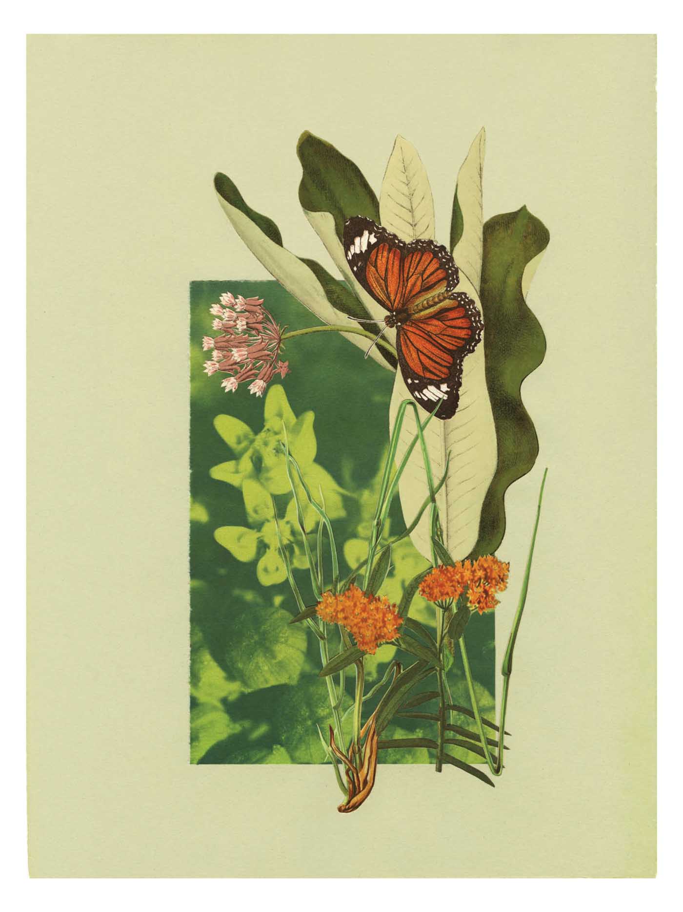 23 Renkl Crow Collages 2 Page 25