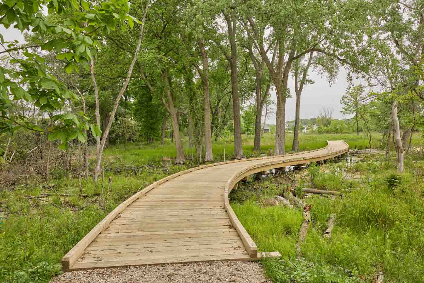 11 Lake Forest Open Lands (boardwalk At Carruther Nature Preserve)