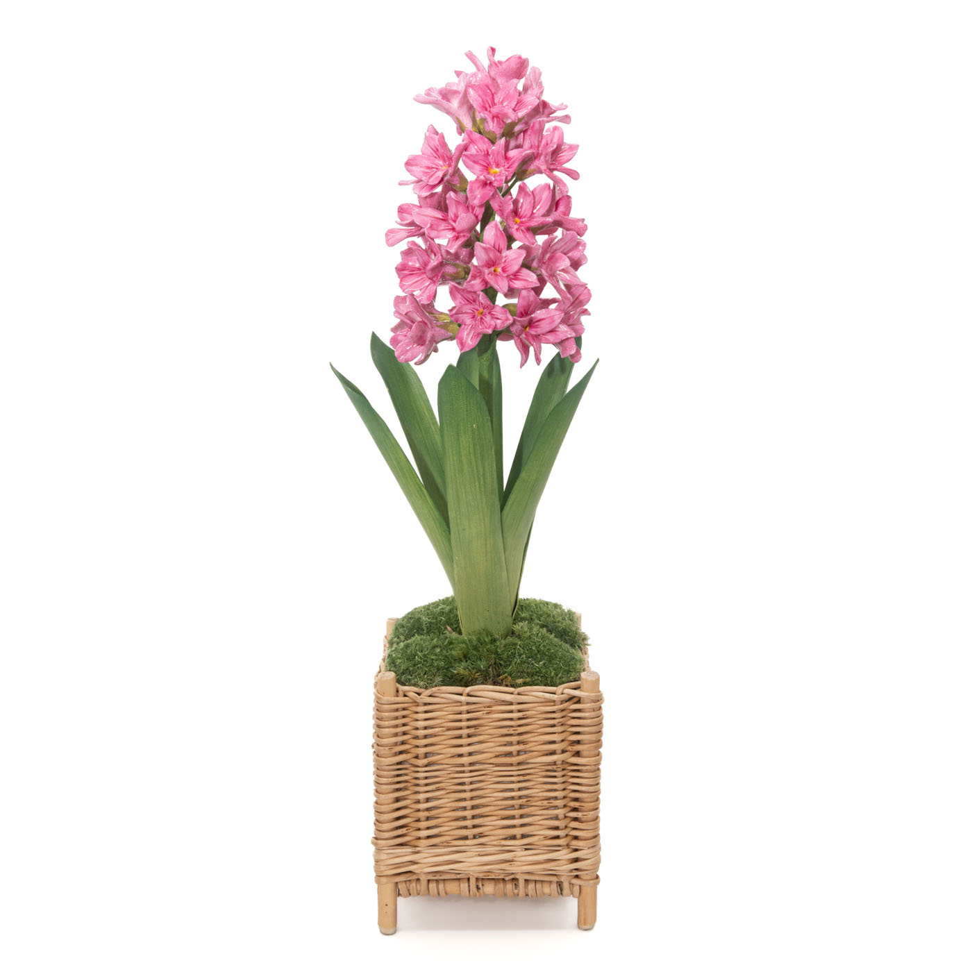 40 Casa Branca, Medium Porcelain Hyacinth In A Square Rattan Cachepot By Samuel Mazy, Casabranca.com