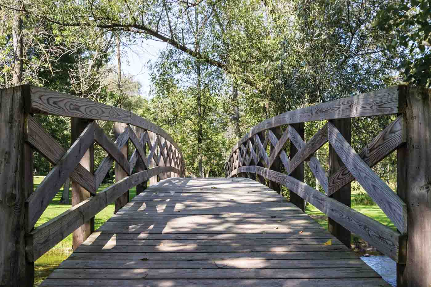Foot Bridge
