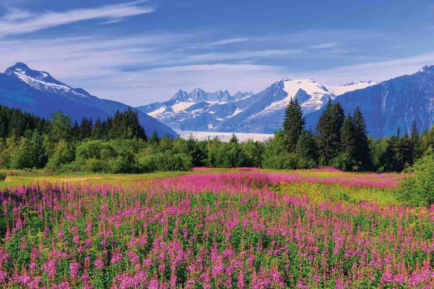 Juneau, Alaska. Mendenhall Glacier Viewpoint.