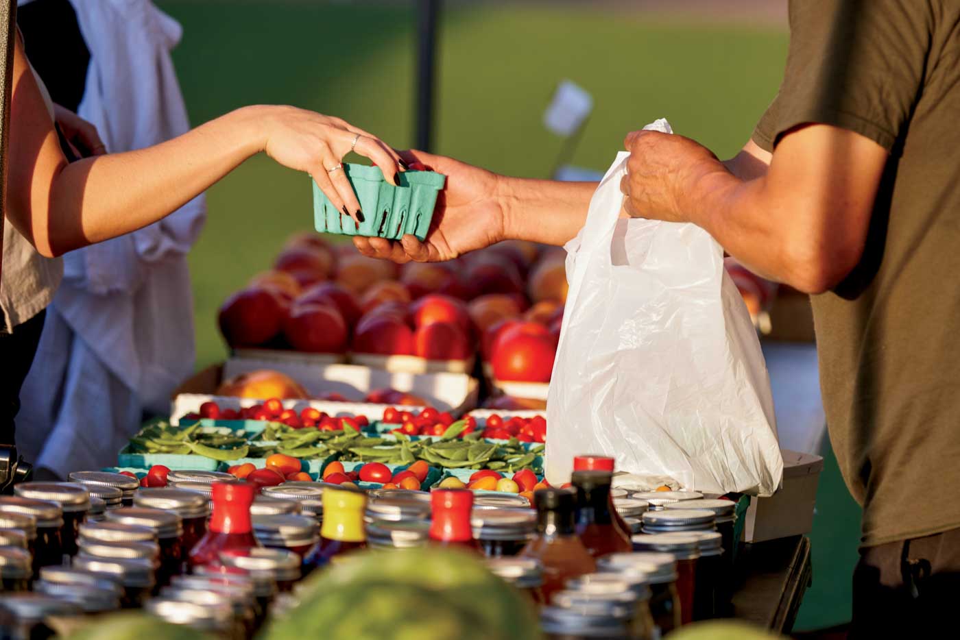 Farmers Market Interaction