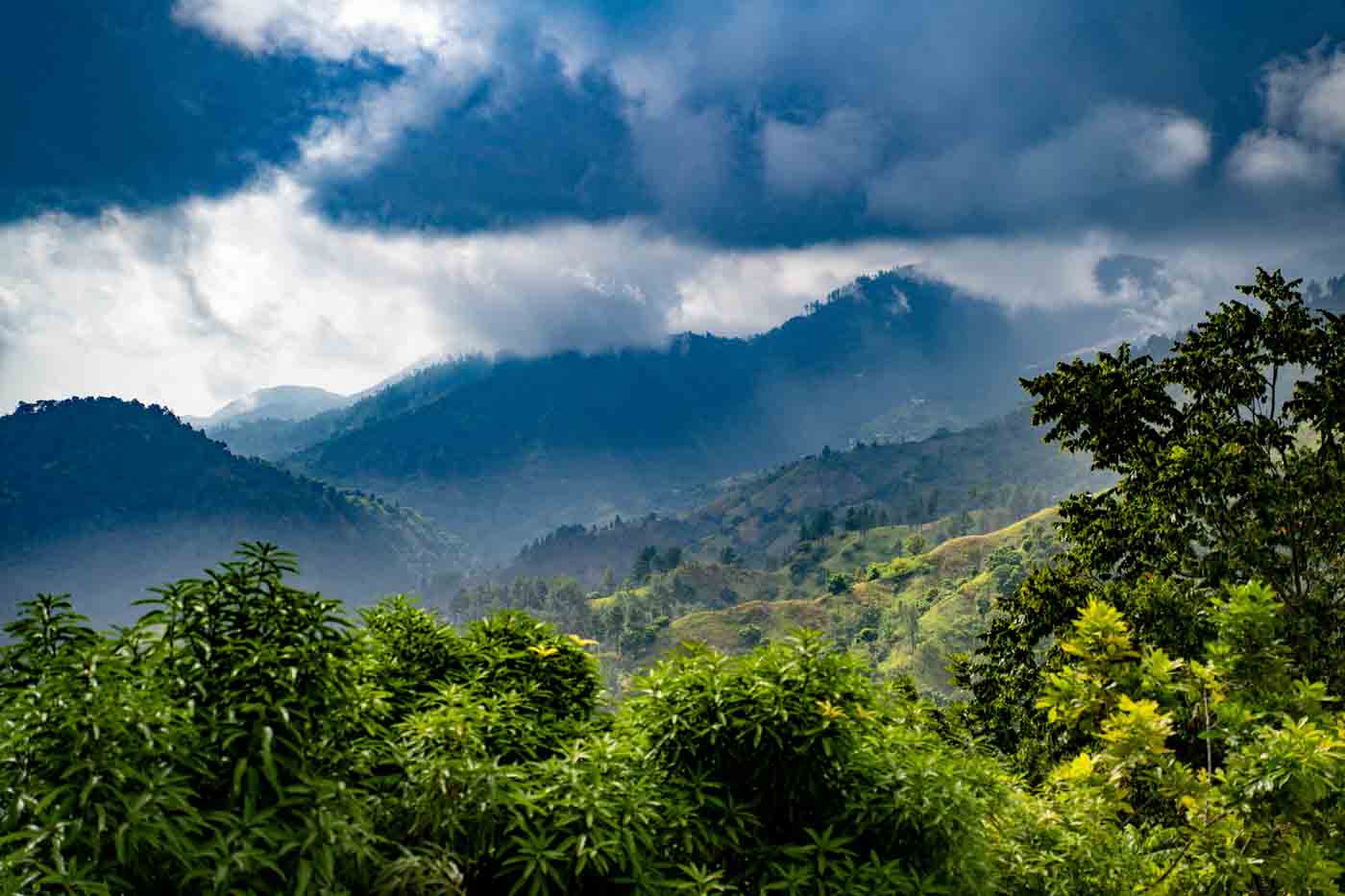 Blue Mountains Jamaica Scenic Landscape