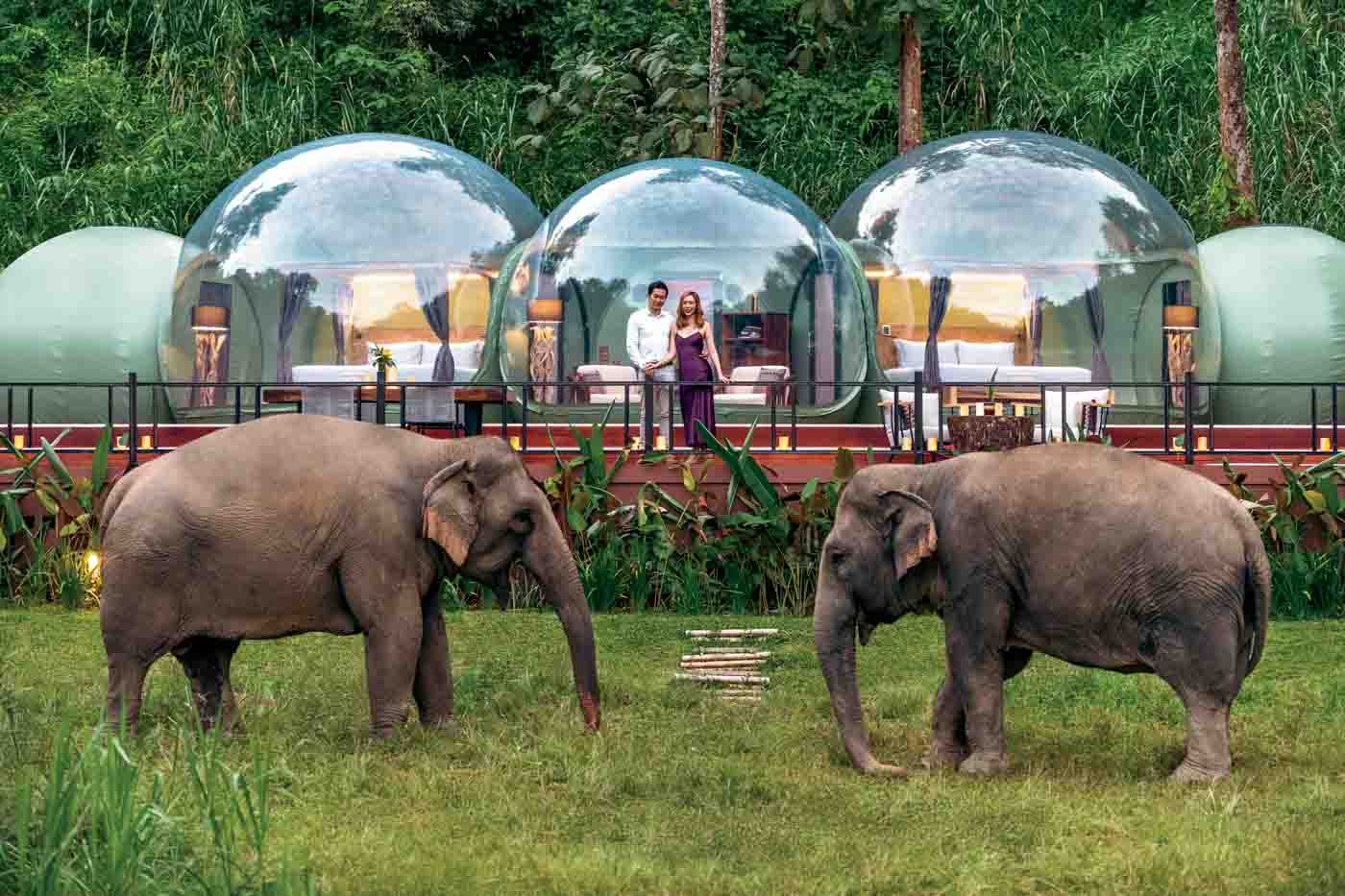 81 Anantara Golden Triangle Jungle Bubble With Elephants (1)