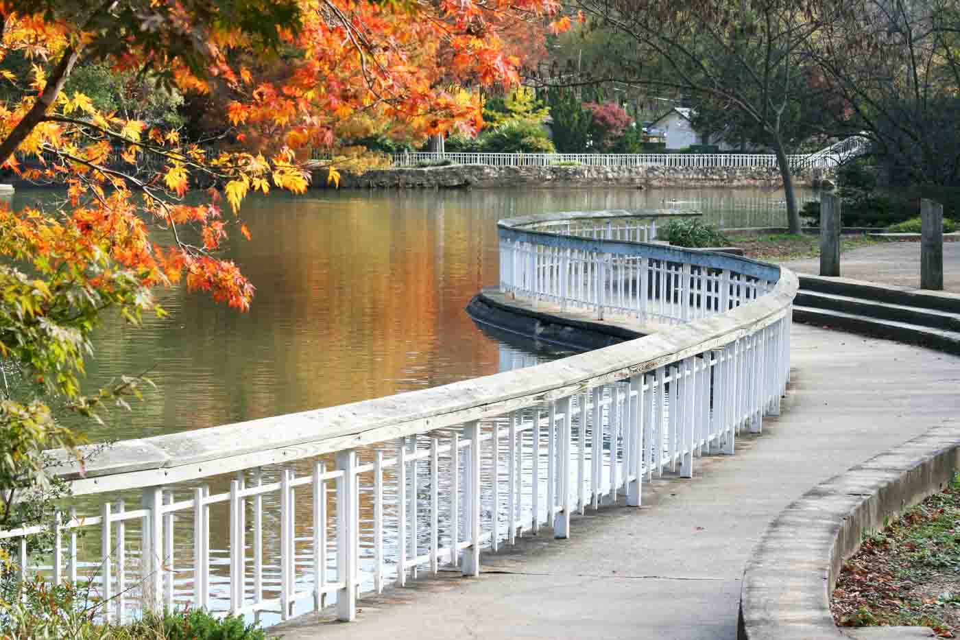 Walk Path In Pullen Park, Raleigh, Nc
